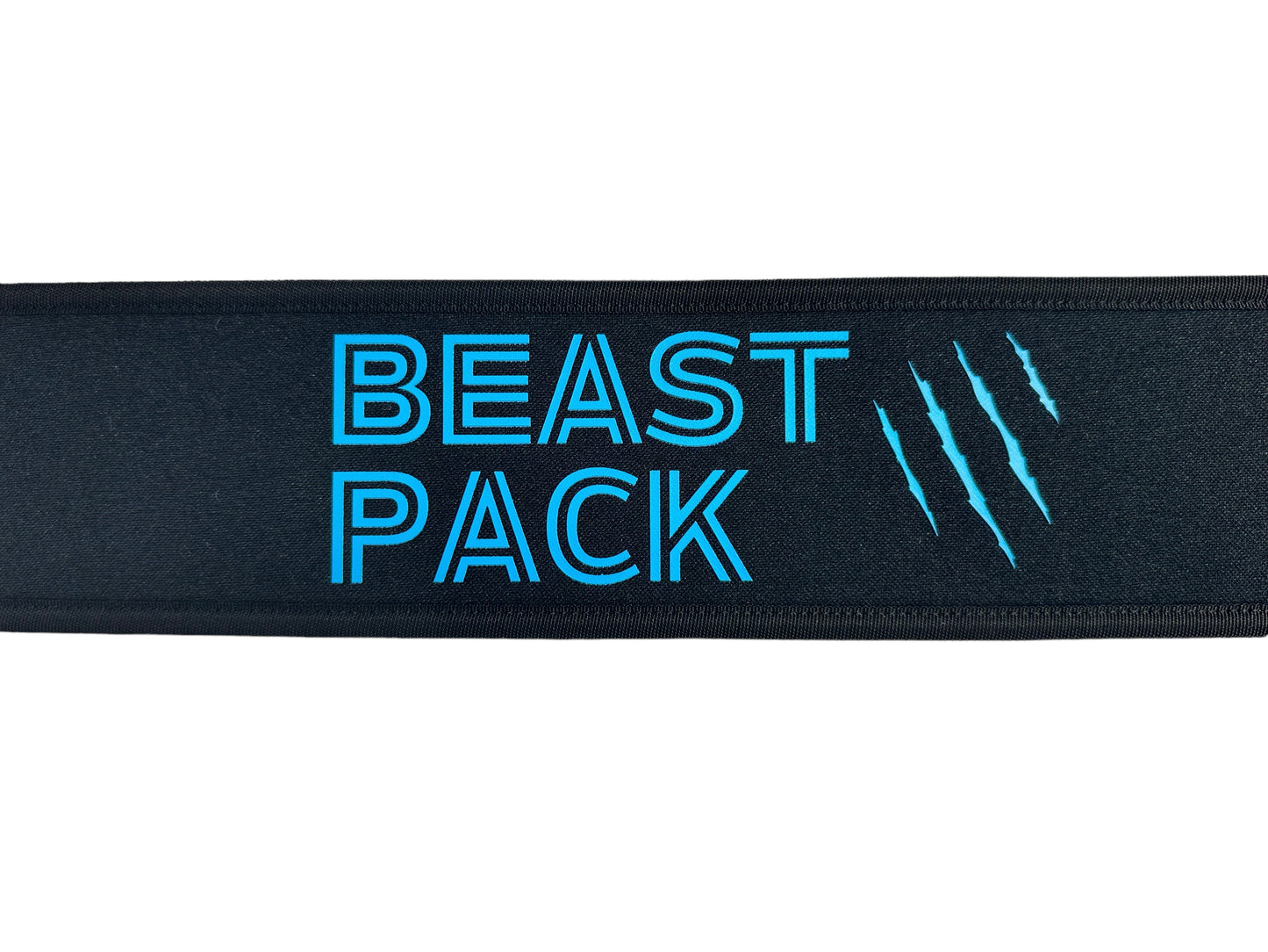 BLUE lifting belt