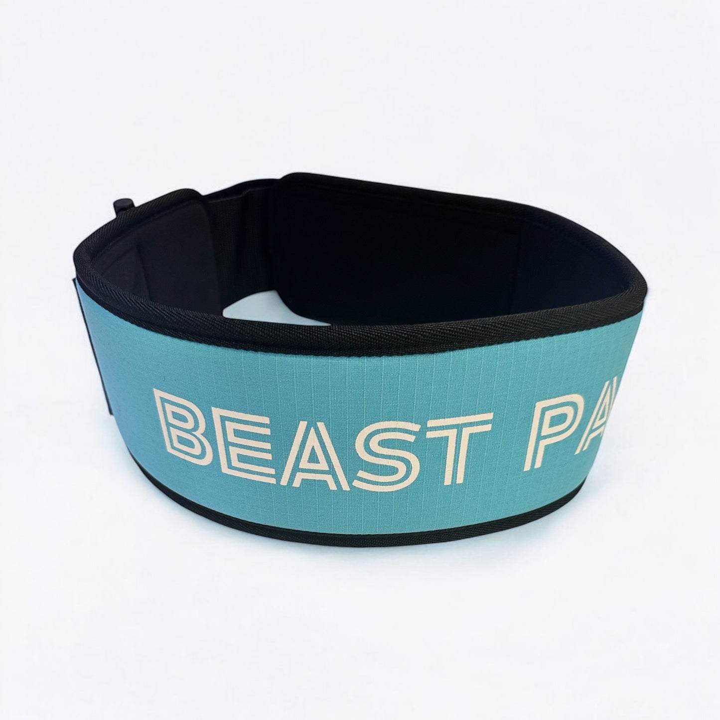 2.0 blue belt