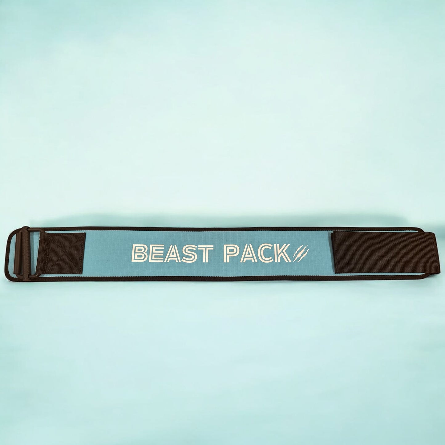 2.0 blue belt