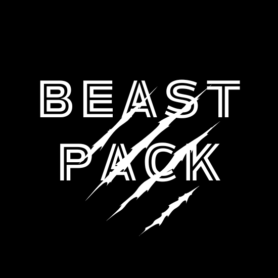 Beast Game In. - Game Studio - Beast Game In. | LinkedIn